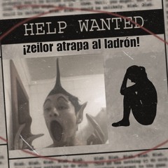 ZEILOR ATRAPA AL LADRON