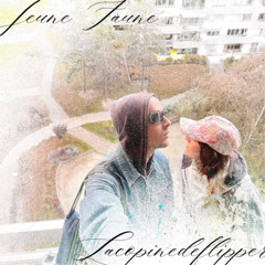Jeune Faune & LacopinedeFlipper - PiXELS