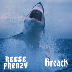 Breach
