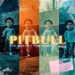 WIU - Pitbull 🐶🖕 REMIX (Liu Beatz & The Bosh)
