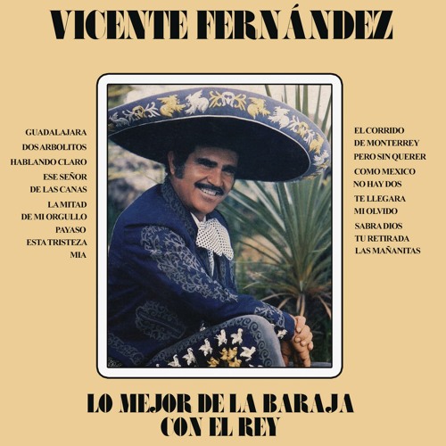 Stream Las Mañanitas by Vicente Fernández | Listen online for free on  SoundCloud