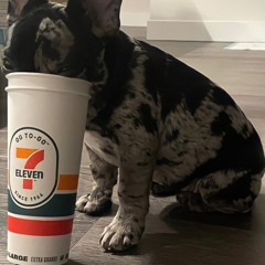 Do 2 Much (Prod. CAZ)