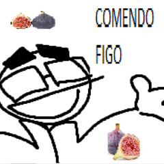 COMENDO FIGO