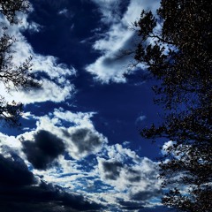 Black Wednesday Home Mix