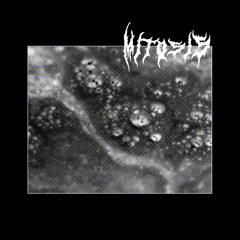 MITOSIS