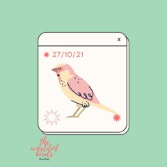 the world of birds - BicegoBeatz