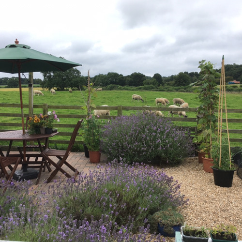 Piano Travellers in Time