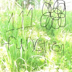 111 Function (p+recyclebin)