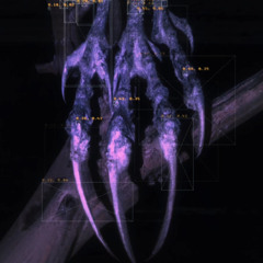 talons