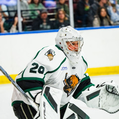 Grizzlies Gameday: October 29, 2025 Jacksonville at Utah