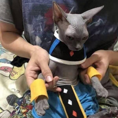 a lullaby for your heart cover (bedroom * cael)