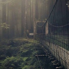 (Cxxnterfeit🐦‍⬛Mixx) Aokigahara forest ft.Cxxnterfeit (1735haydxn & 86GOON)