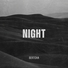 Night - BERTCHA (Original Mix) Vocal Edit