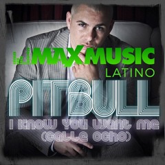 Pitbull x Deekline - JZ In Calle 8 (Bryan Fox & Alex Gramage Dj VIP Guaracha Remix)