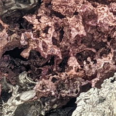 Surreal Landscapes Live Free download