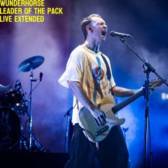 wunderhorse-leader of the pack (live extended version)