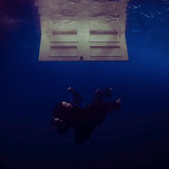 Billie Eilish - WILDFLOWER (Nightdrive D-CHRIS remix)