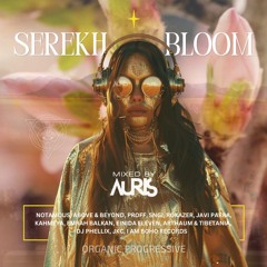 AURIS | Serekh Bloom - Organic Progressive TOP 10- 15 Sept 2024