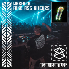 Warface - Fake Ass Bitches (ASOW Bootleg)