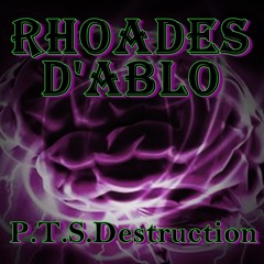P.T.S.Destruction