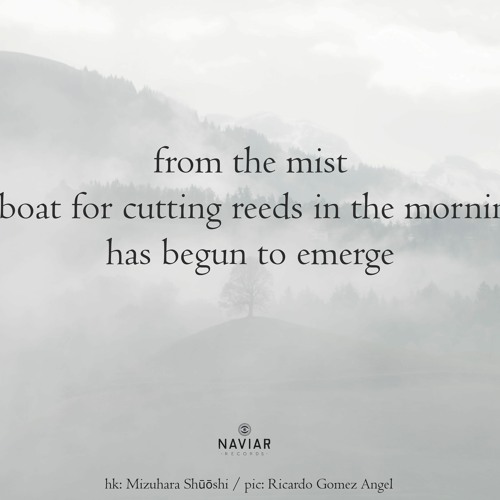 Waiting in the mist (naviarhaiku464)