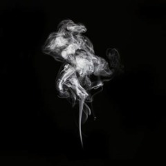 Splash(prod fly melodies)