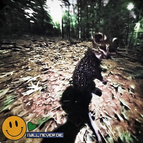 I WILL NEVER DIE