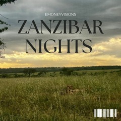 Zanzibar Nights |(Amapiano + Afro House)| Emoneyvisions