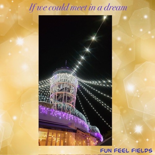 If we could meet in a dream