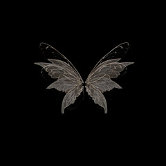 METAMORPHOSIS (feat. rare)