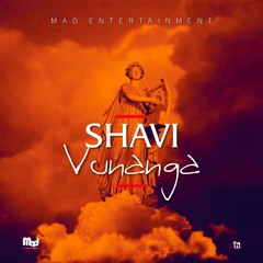 AMAPIANO 2020 MIX BY SHAVI