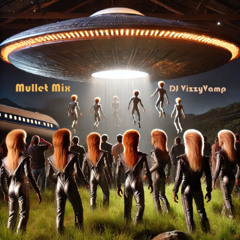 Mullet Mix