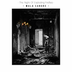 The Night Of Exploding Fireflies