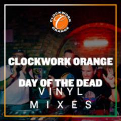 D.O.T.D. Vinyl Room - Rob Roar