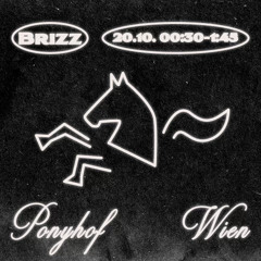 Brizz - dive belize @ponyhof vienna