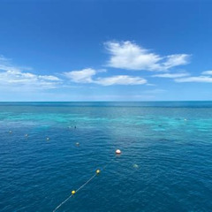 Best 2day Great Barrier Reef Reefsleep Experience Tours Review