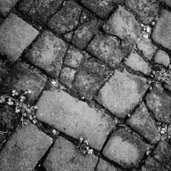Walk