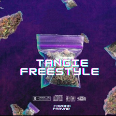 Farbod parvar + tangie freestyle