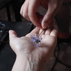 (alex anwandter cover) tengo una confesión