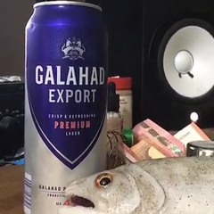 Voice of the Cricket