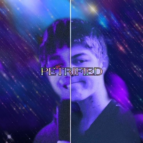 Paradox x Wow Kt - Petrified (Prod. Wow Kt)