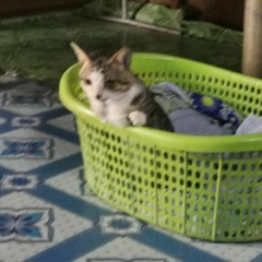 Living Together m1  25.09.23.mp3