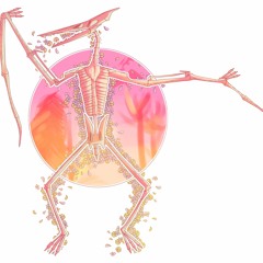 Pterodactyls (2021 Floatfest Set)
