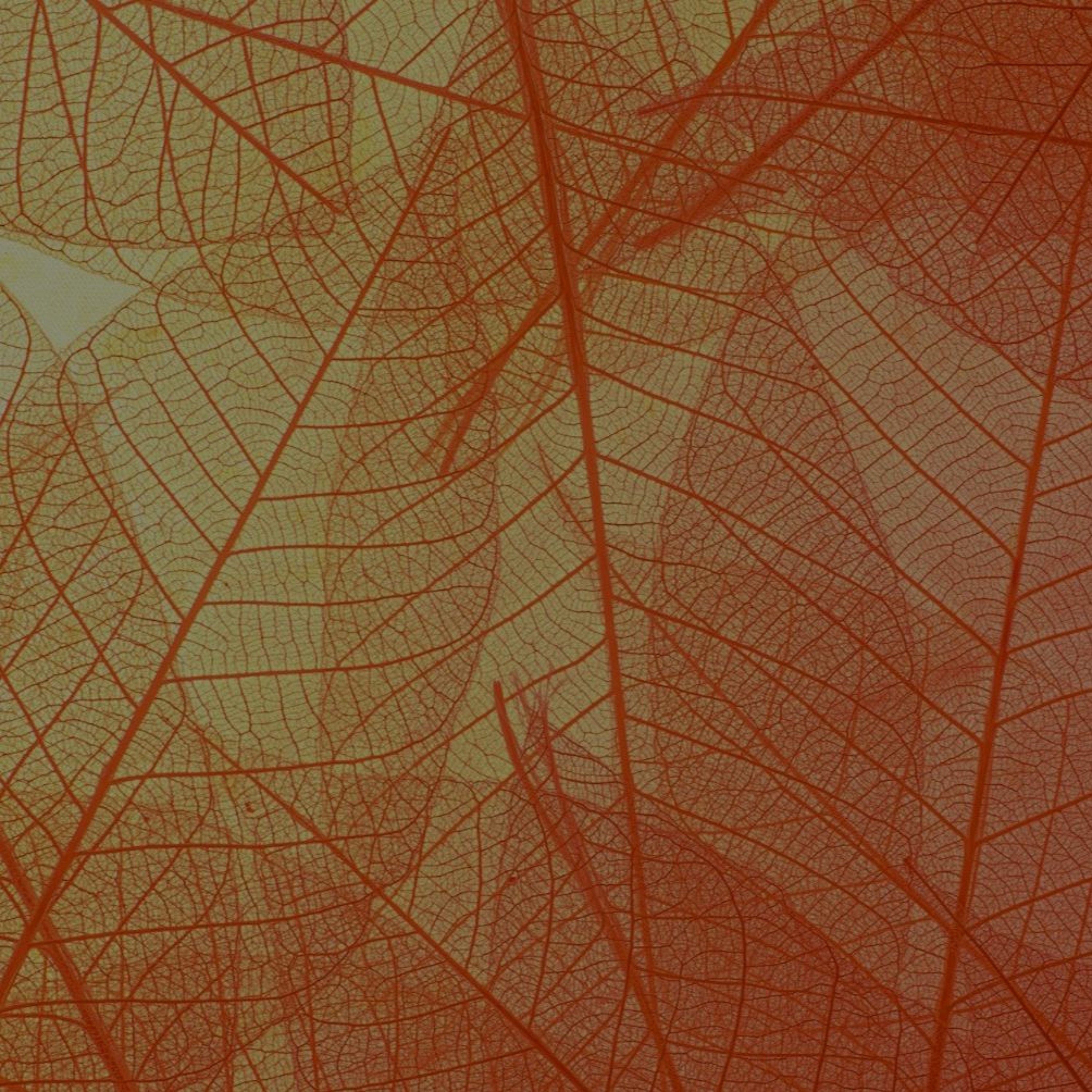 Connectkerk | Podcast