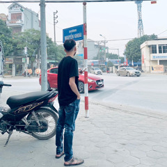 mưa đá chiến cá koi mix