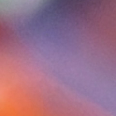 You Say What You Are