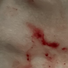 conquer and divide (prod me)