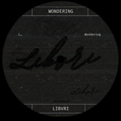 Libvri - Wondering