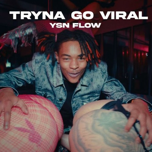 Stream ysn flow tryna go viral by 2024 Listen online for free on SoundCloud