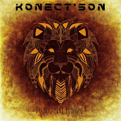 KONECT'SON - Do You Like Jungle ?  (DJ SET)